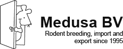 logo-medusa